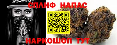 сатива Краснодар