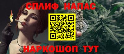mdpv Краснознаменск