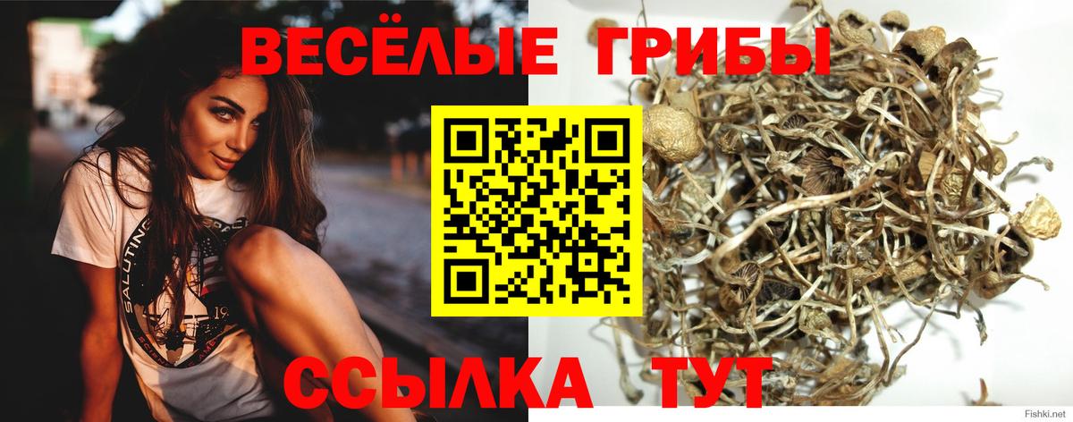 Галлюциногенные грибы MAGIC MUSHROOMS Якутск
